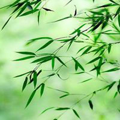 像素大战完整版下载